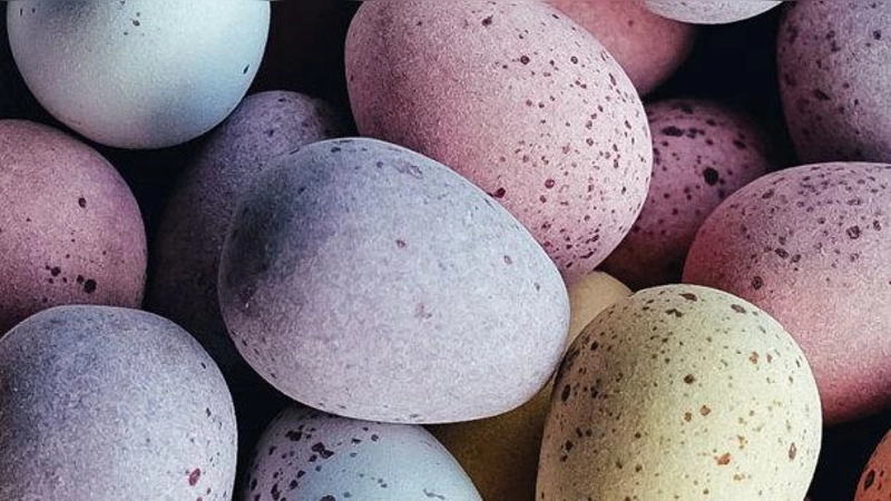 Ostereier mit Naturfarben enthalten garantiert keine umwelt­schädlichen Chemikalien.  (Foto: Annie Spratt / CC0 1.0)