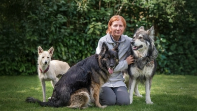 Die Hundeschule Happy Wolf bietet zahlreiche Angebote für Ihren Vierbeiner. (Foto: Happy Wolf)