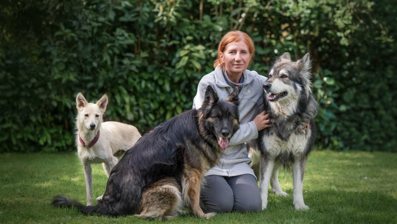 Die Hundeschule Happy Wolf bietet zahlreiche Angebote für Ihren Vierbeiner. (Foto: Happy Wolf)