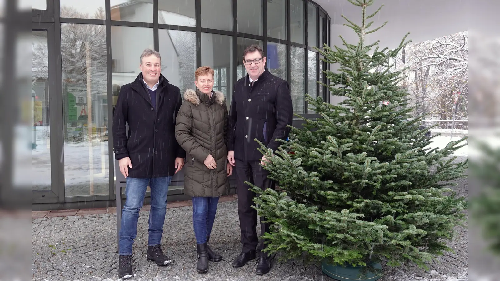 Die wunderschöne Nordmanntanne, präsentiert von Landrat Bayerstorfer (re.) sowie Michael Hamburger und Sabine Berger, wird bald von hoffentlich vielen Wunschsternen geschmückt. (Foto: LRA)