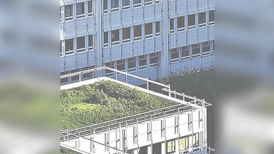 Eine Dachbegrünung kann für angenehme Temperaturen im Haus beitragen (Foto: Alexas_Fotos, CC0)