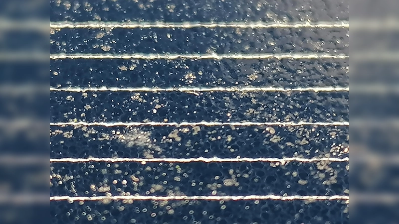 Ein Solarmodul. Bereits seit Mitte 2022 gelten höhere Vergütungssätze für Strom aus Anlagen, die seitdem in Betrieb genommen wurden. (Foto: Johannes Beetz)