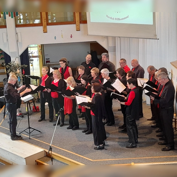 Die Gospel Voices Schwabhausen bei ihrem Konzert in Aichach. (Foto: Gospel Voices Schwabhausen )