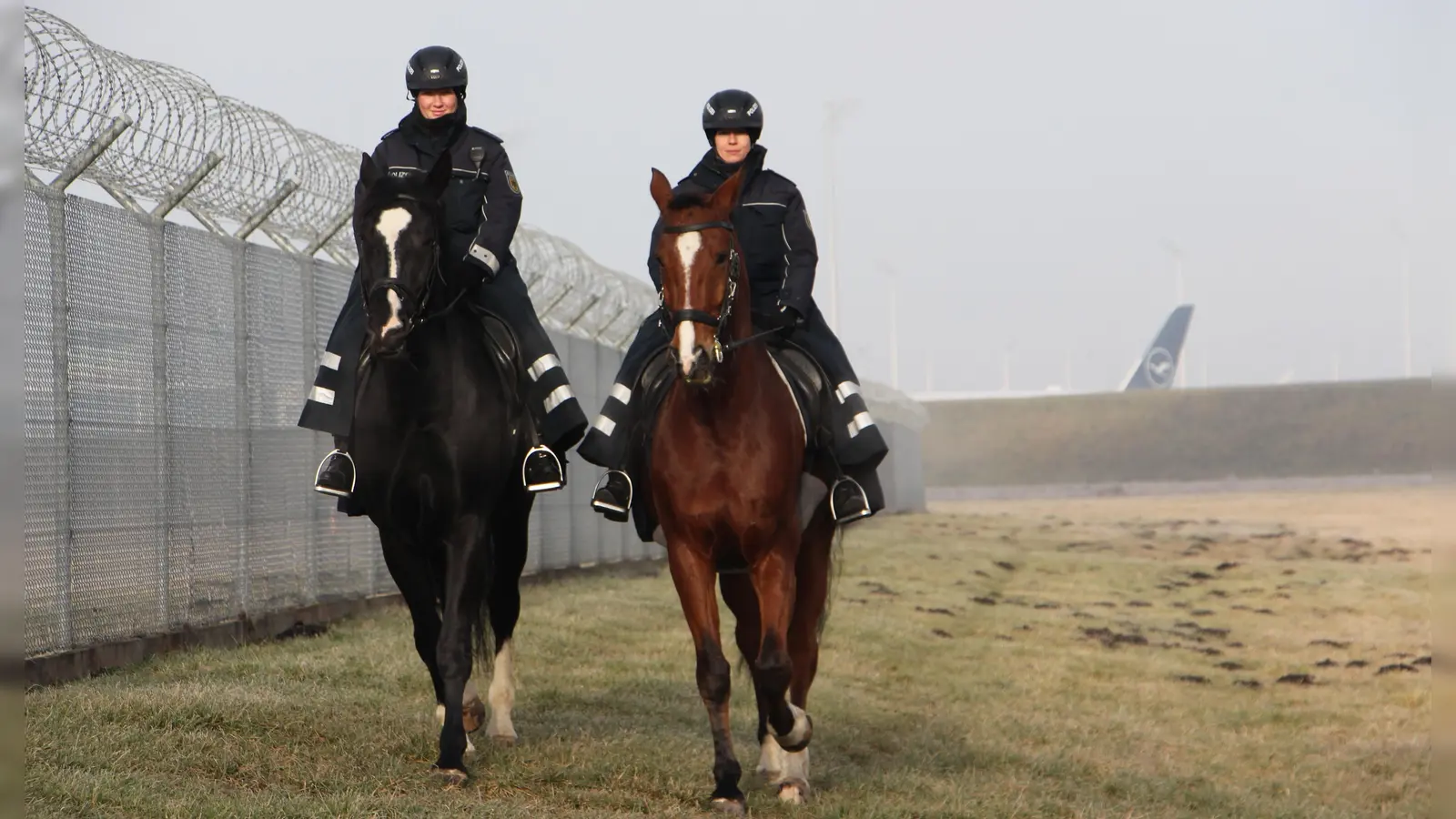 Ein ungewöhnlicher Anblick: Polizeipferde im Einsatz am Flughafenzaun. (Foto: Reiterstaffel der Bundespolizei)