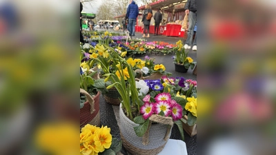 Der Frühling auf dem Wochenmarkt Poing. (Foto: EMMA)