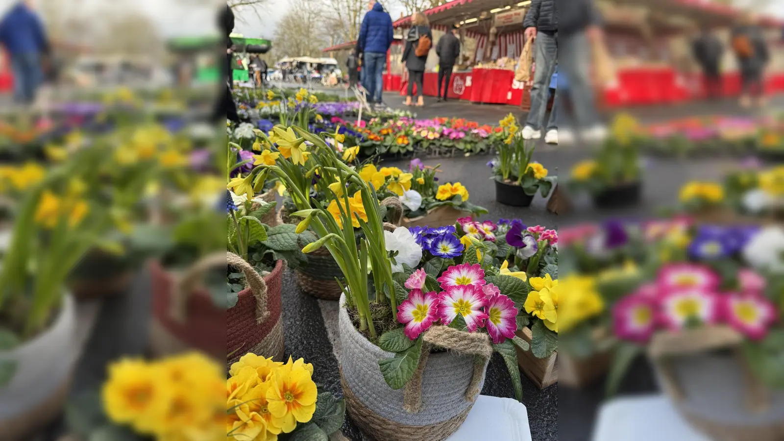 Der Frühling auf dem Wochenmarkt Poing. (Foto: EMMA)