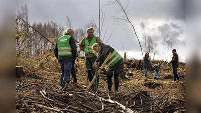 Bürgerinnen und Bürger können persönlich aktiv werden, wenn es um die Pflanzung klimastabiler Mischwälder geht.  (Foto: PEFC Deutschland/sabrinity)