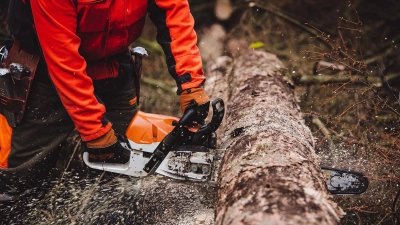 Mehr Personal ist nötig, um den Waldumbau zu schaffen. (Foto: IG Bau)
