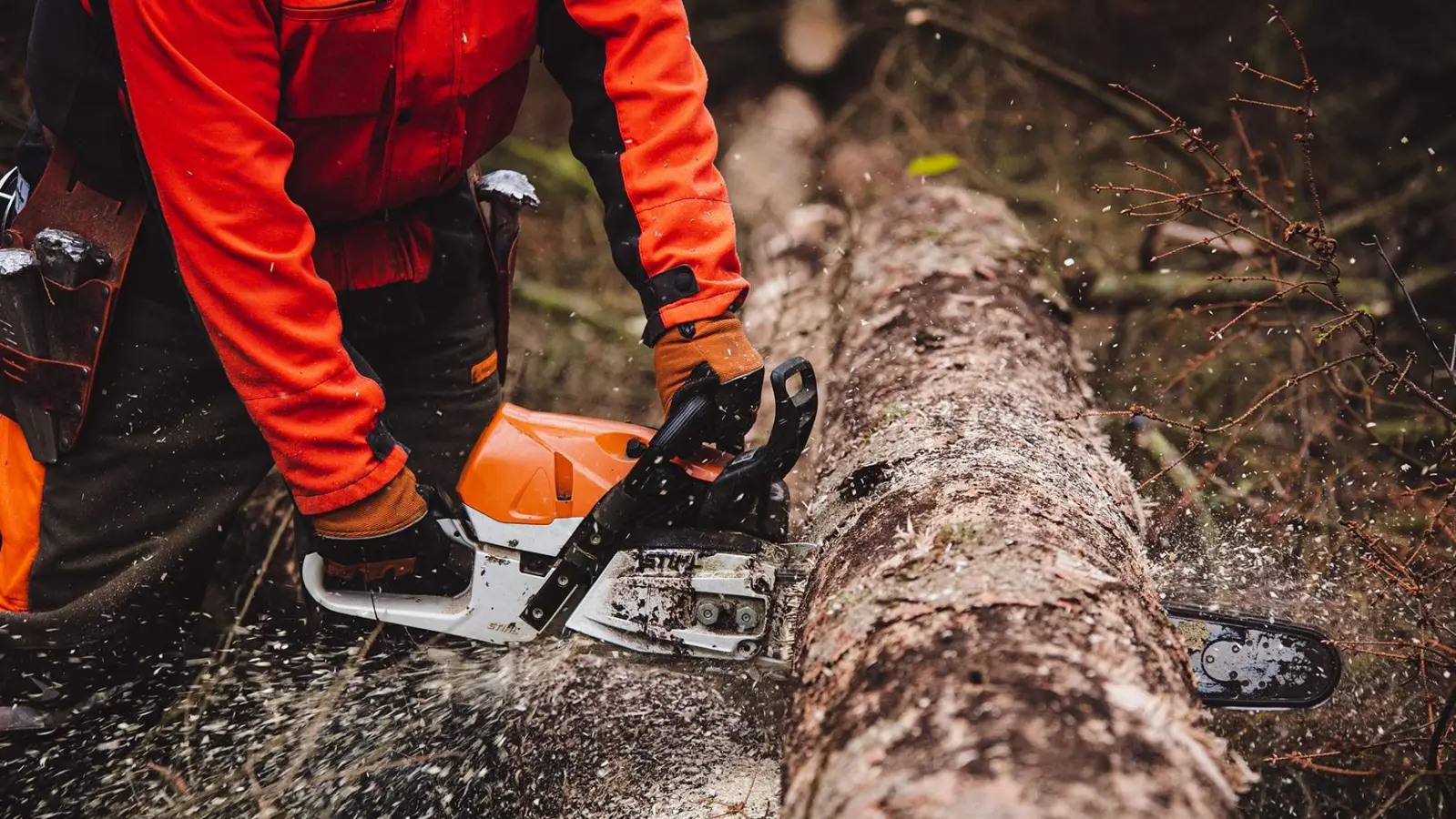 Mehr Personal ist nötig, um den Waldumbau zu schaffen. (Foto: IG Bau)