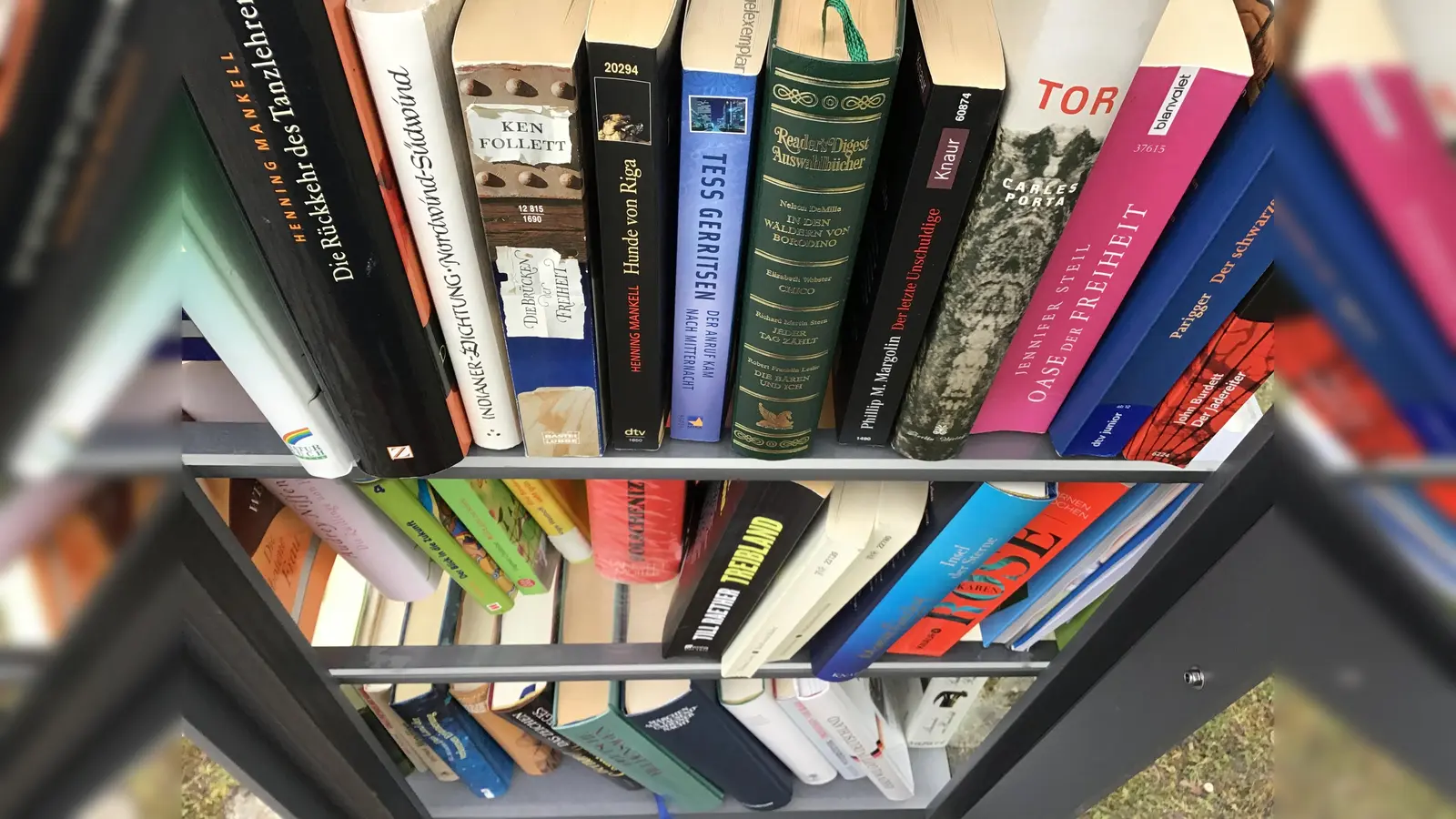 Die Welt der Bücher ist schier unendlich. (Symbolbild: dm)