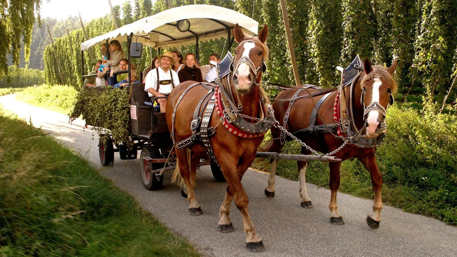Gemeinsam den Sommer erleben – Ausflugstipps und Veranstaltungen in den Regionen Freising und Pfaffenhofen. (Foto: Paul Ehrenreich)