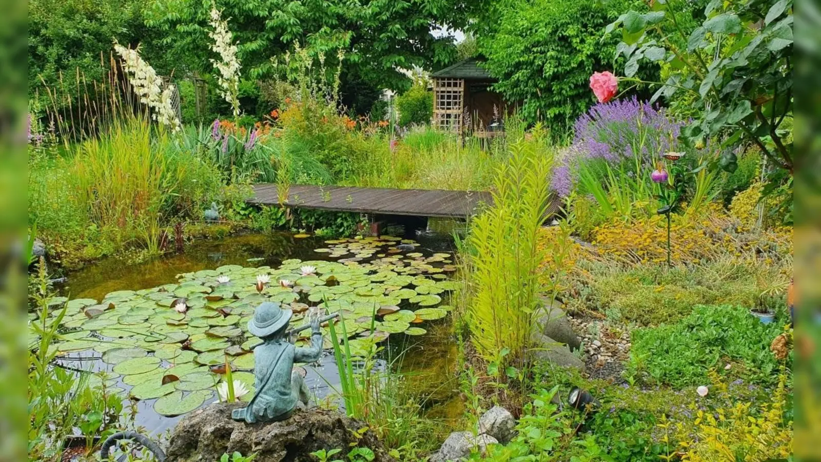 Teichfreunde erhalten zahlreiche Infos bei den Experten von Aquaterra e. V. (Foto: Aquaterra e. V.)