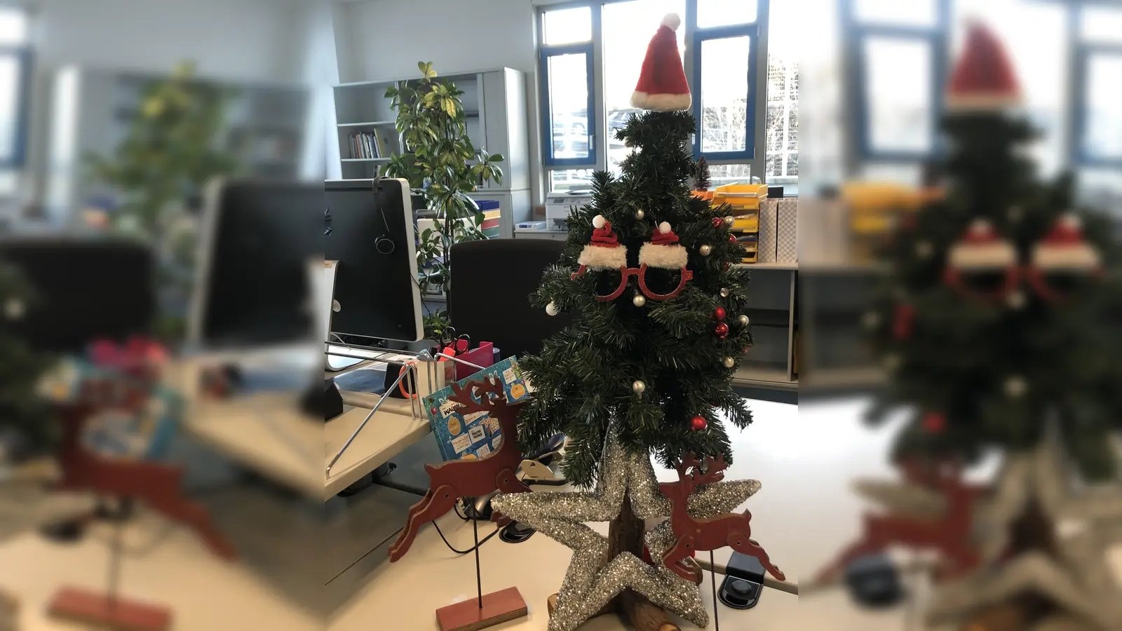 Normalerweise finden Sie hier ein Bild vom weihnachtlich gestimmten Redaktionsteam - Mit Homeoffice und Abstandsregelungen haben wir uns aber in diesem Jahr für unseren Redaktionsbaum als Stellvertreter für uns alle entschieden! (Foto: hw)