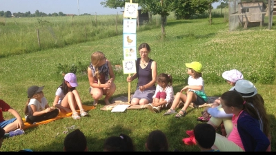 Die MiBiKids bei einem Ausflug auf den Bio-Bauernhof. (Foto: MiBiKids e.V.)