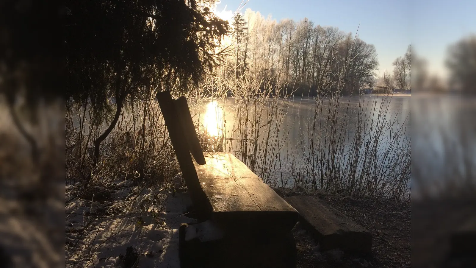 Bild der Woche KW08 (Foto: Karin Wegner)