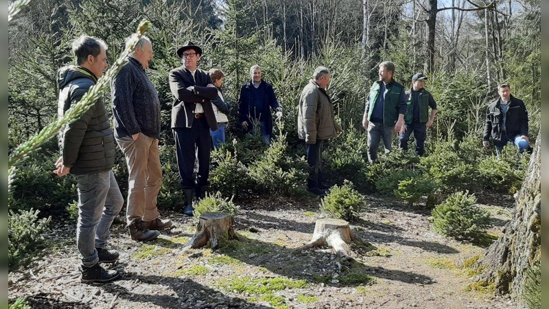 Im Wald der Familie Grimm (Foto: Hamburger)