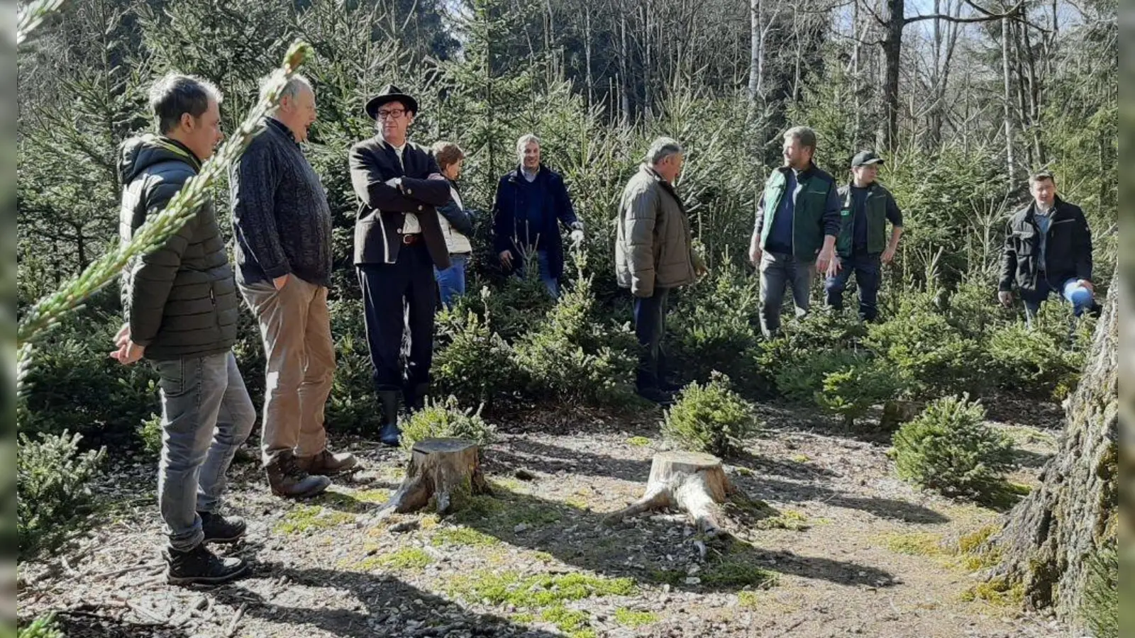 Im Wald der Familie Grimm (Foto: Hamburger)