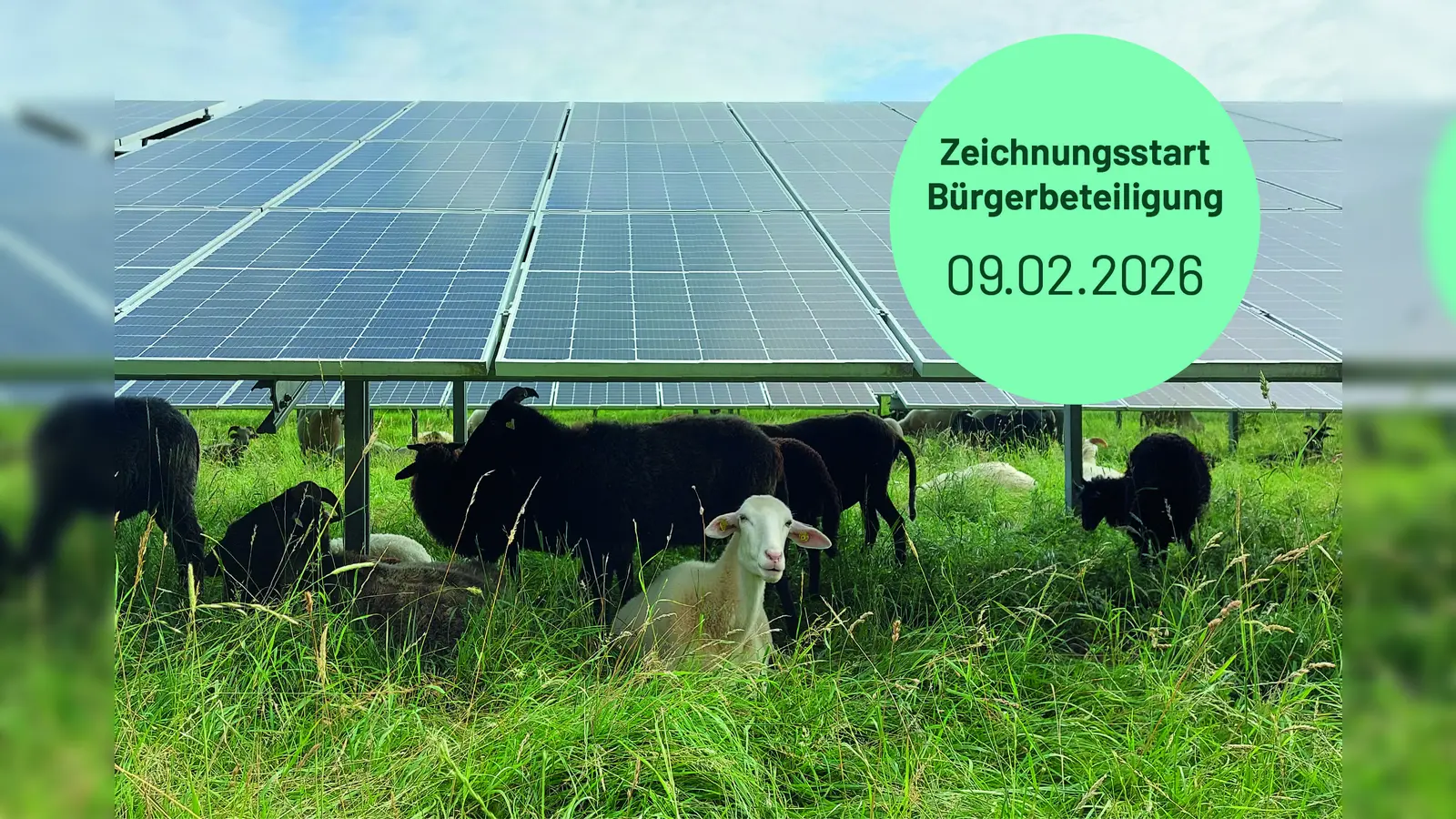 Am 9. Februar beginnen die Info-Veranstaltungen rund um den geplanten Bürgersolarpark. (Foto: EBEwerk)