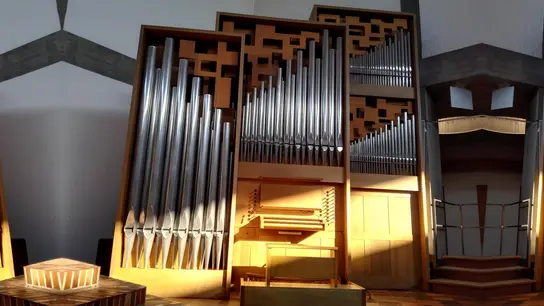 Die vor drei Jahren aus der Schweiz erworbene Rieger-Orgel wurde vor 50 Jahren gebaut. (Foto: Pfarrei St. Vinzenz)