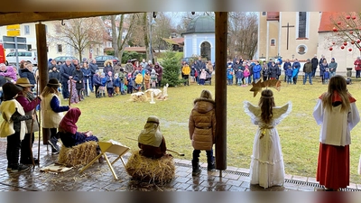 Die Mädchen und Buben waren engagiert bei der Sache. (Foto: Regina Gastager)
