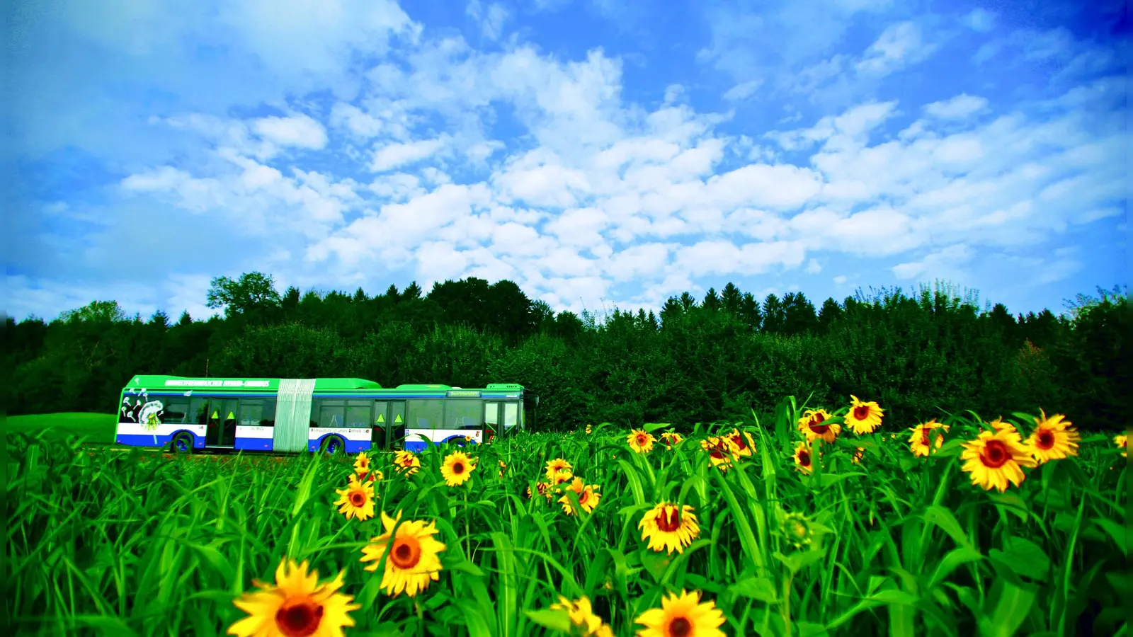 Das Landratsamt Erding will untersuchen, ob im Südosten des Landkreises Regionalbusse durch On-Demand-Angebote ersetzt werden können. (Symbolbild: MVV GmbH )