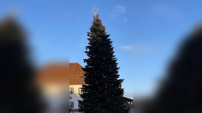 Schon jetzt sucht der städtische Bauhof nach einem geeigneten Weihnachtsbaum für den Schrannenplatz in Erding.  (Foto: hw)