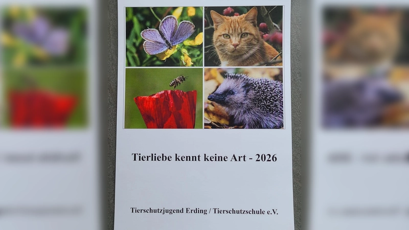 Ab sofort erhältlich: Der Jahreskalender des Tierschutzvereins. (Foto: Tierschutzverein)
