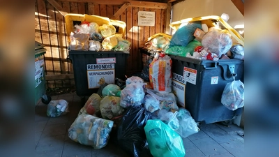 An Weihnachten und zum Jahreswechsel müssen erfahrungsgemäß größere Mengen von Papier, Kartonagen, Glas und Leichtverpackungen entsorgt werden. (Foto: LRA )