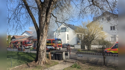 Die komplette Fahrzeugflotte der Feuerwehr Moosburg und Nachbarfeuerwehren waren im Einsatz. (Foto: msk)