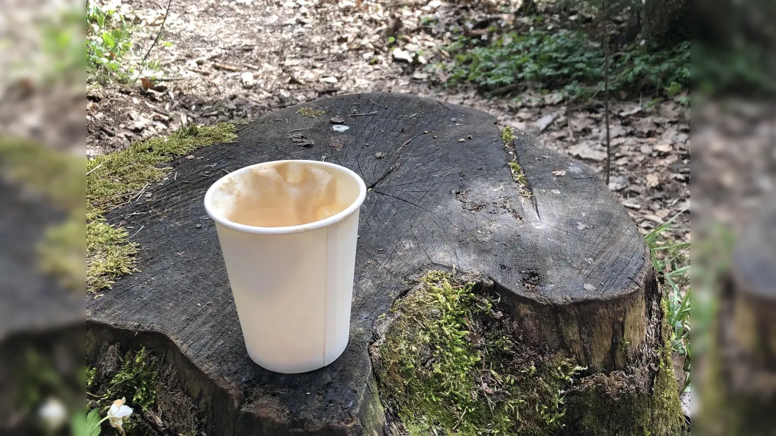 Achtlos weg geworfener Müll schadet der Umwelt. Am 9. April geht es ihm an den Kragen. (Foto: hw)