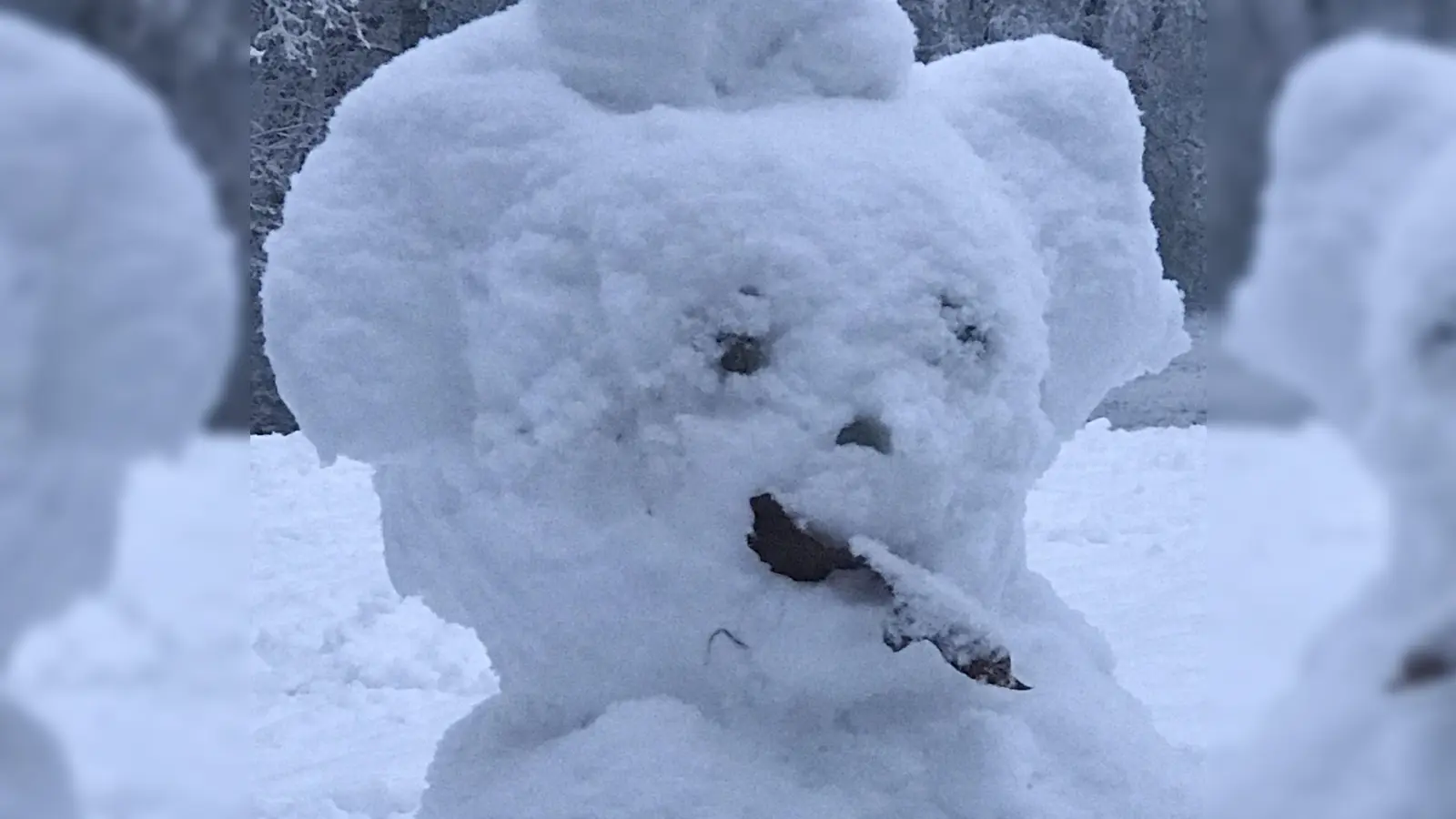 Als ob der "Schneebär" der Pandemie die Zunge rausstrecken wollte! (Foto: cba)