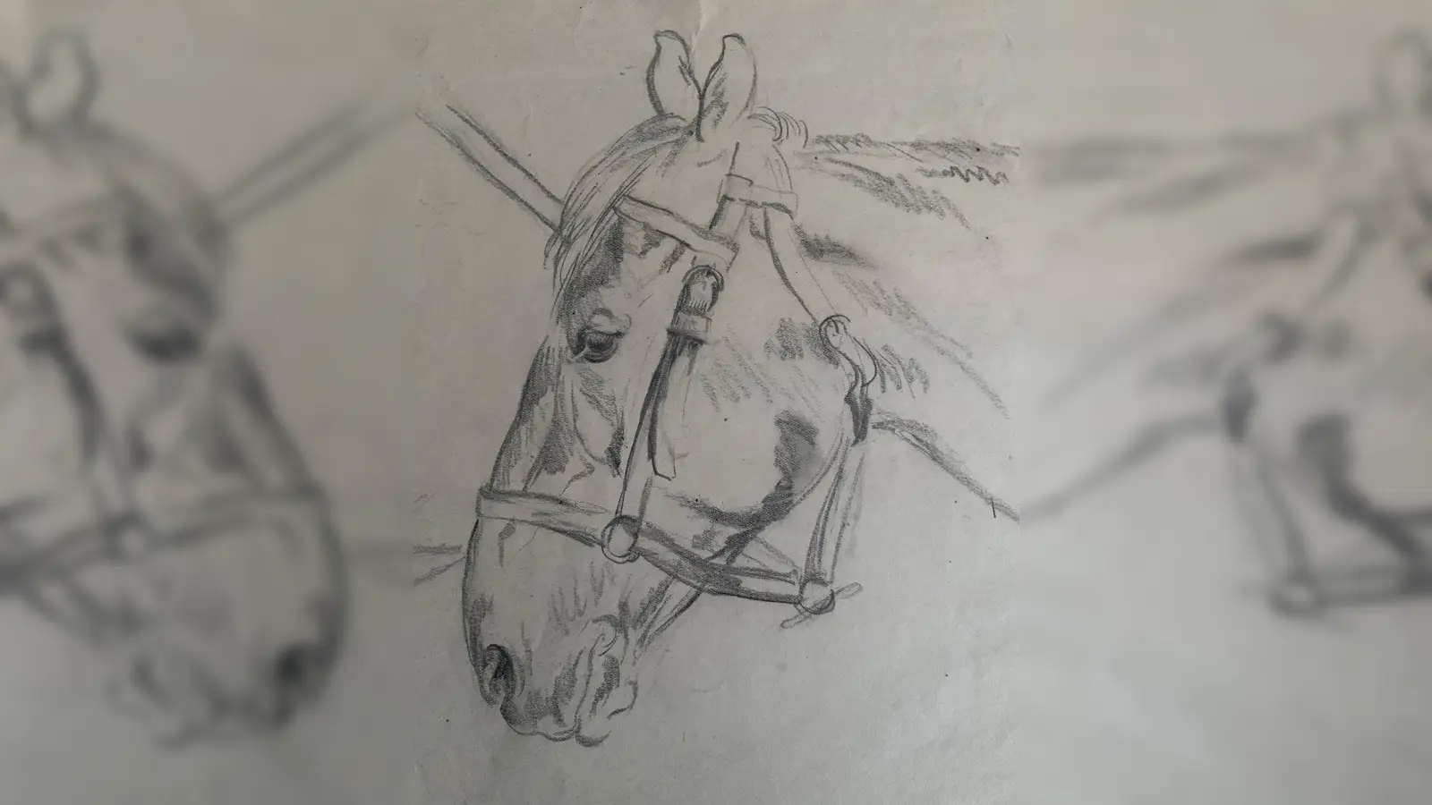 Aus dem Skizzenblock Franz Xaver Stahls, Pferdekopf, Bleistift auf Papier.<br><br>  (Foto: Rudi Koller)