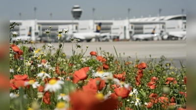 Der Flughafen München im Erdinger Moos ist offiziell ein „Blühender Betrieb“. (Foto: Yorck Dertinger)