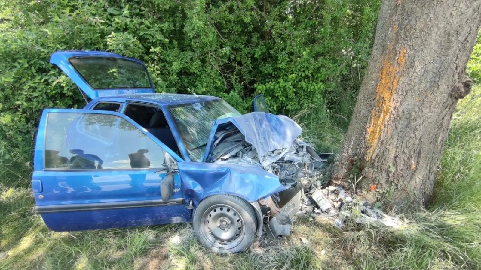 Diesen schweren Unfall überlebte der 87-jährige Fahrer nicht.  (Foto: Picasa)