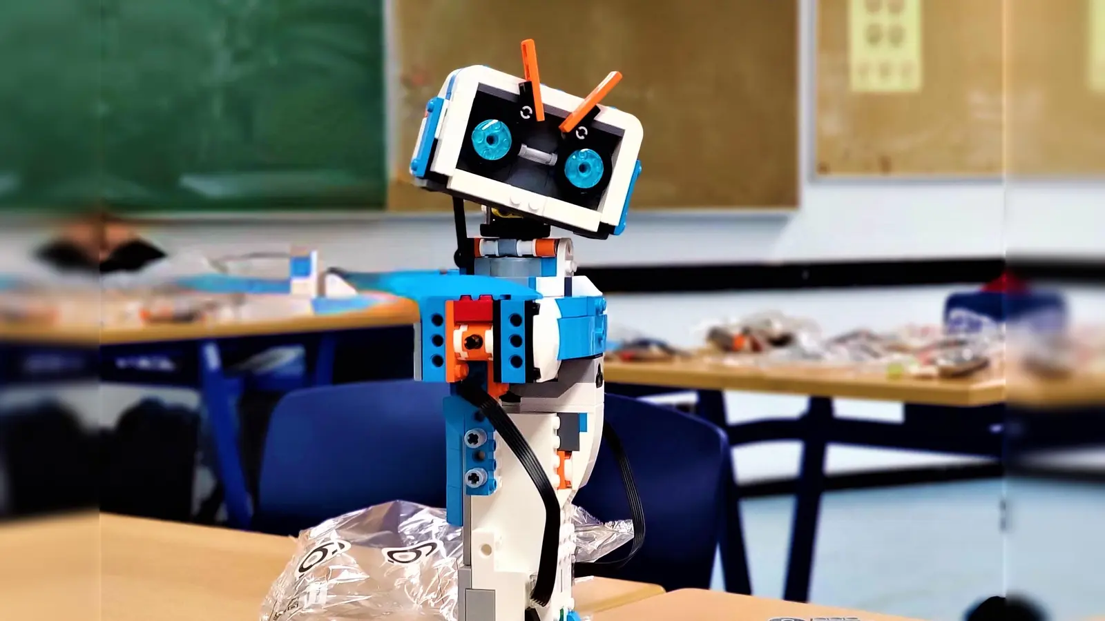 Vernie ist der kleine Star des Wahlfachs. (Foto: Staatl. Wirtschaftsschule)