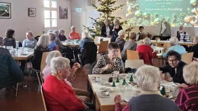 Gerade zur Weihnachtszeit sind viele Senioren froh über Gesellschaft. (Foto: Brandstädter)