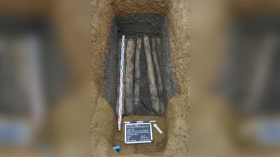 Teile des Holzbohlenweges im Bereich der Unteren Hauptstraße in Au i.d. Hallertau. (Foto: Pro Arch Prospektion und Archäologie)
