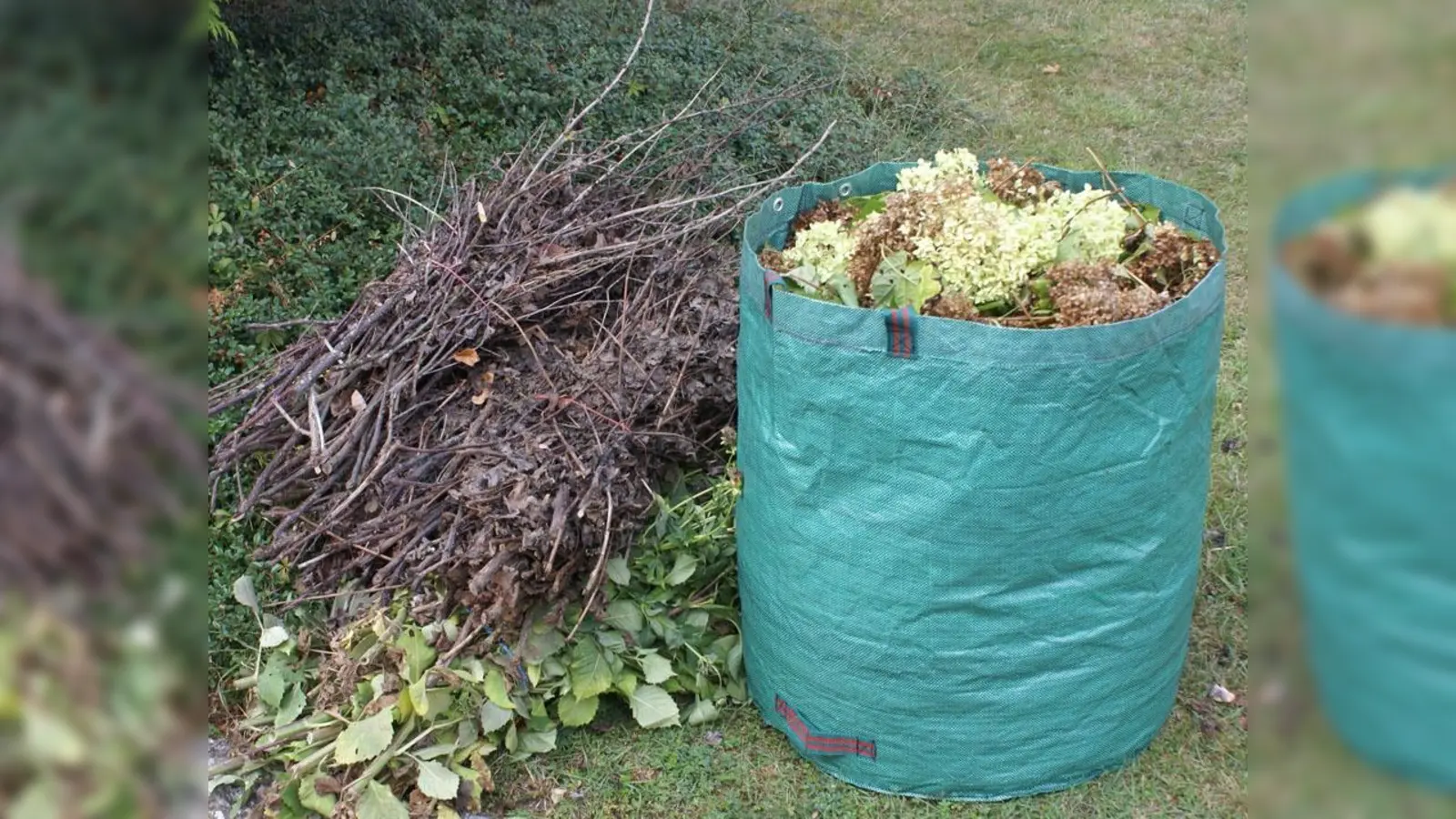 Grüngut kann man dank erweiterter Öffnungszeiten nun noch einfacher entsorgen. (Foto: LRA)