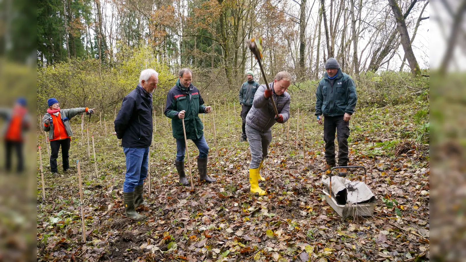 Landrat Robert Niedergesäß pflanzt junge Flatterulmen unter der Anleitung von Reinhard Menzel und Johann Taschner sowie Mitgliedern der Waldbesitzervereinigung Ebersberg und Klaas Wellhausen. (Foto: Landratsamt Ebersberg)