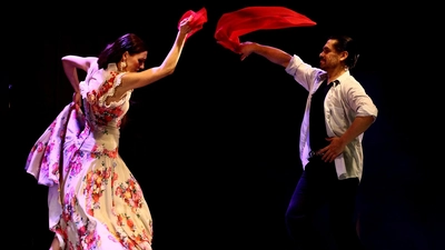 Zwei leidenschaftliche Tänzer: Nicole Nau und Luis Pereyra. (Foto: Vida Argentino)