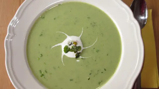 Sieht gut aus, schmeckt gut und tut noch viel besser: Die "Grüne Suppe" nach einem Rezept von Anita Himmer. (Foto: VA)