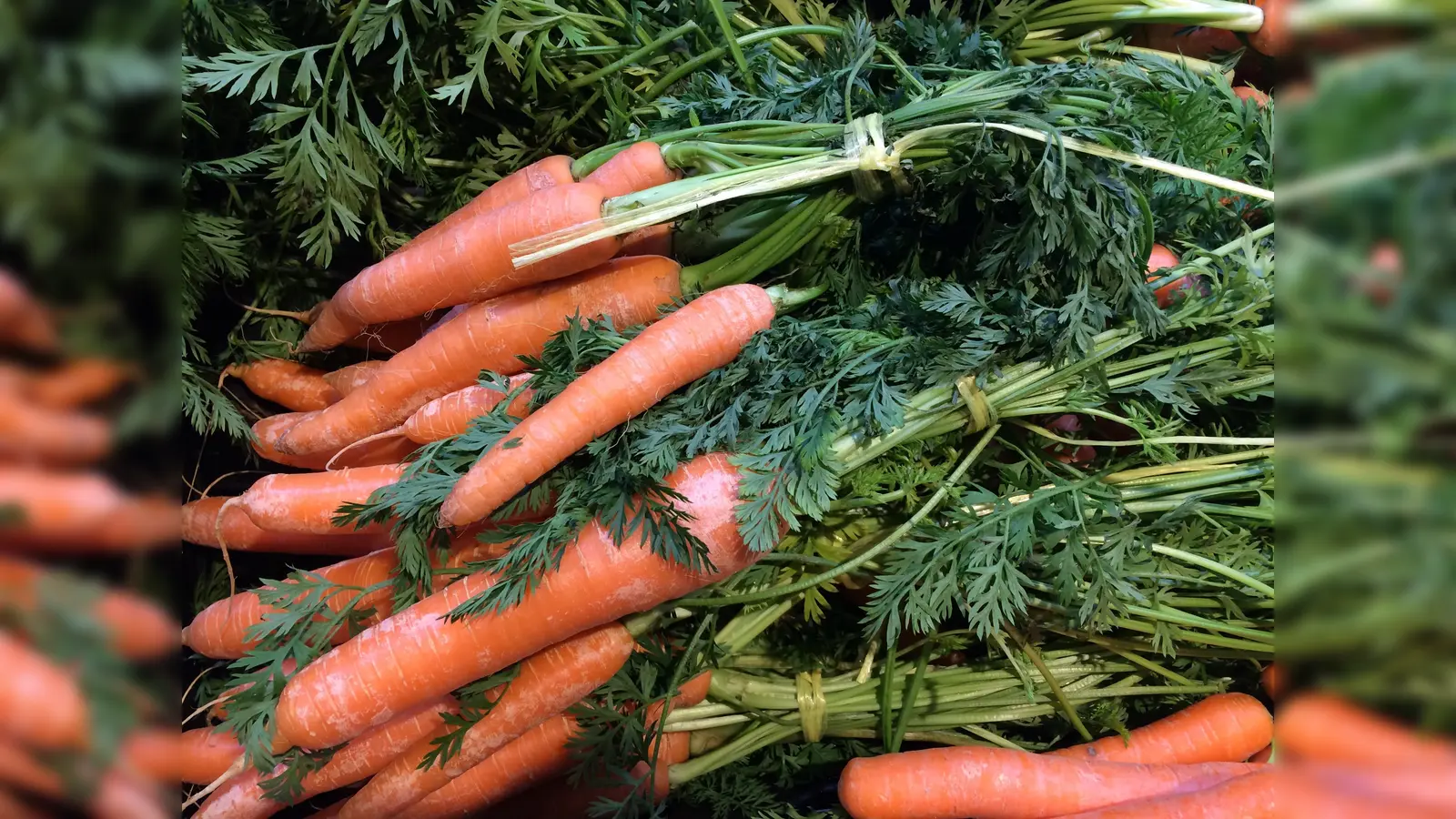 Wer bei der Waldweihnacht dabei sein will, sollte Futter, wie beispielsweise Möhren, mit zum Termin bringen. (Foto: dm)