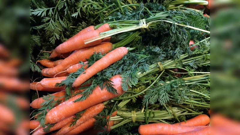 Wer bei der Waldweihnacht dabei sein will, sollte Futter, wie beispielsweise Möhren, mit zum Termin bringen. (Foto: dm)