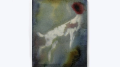 Vincent Scheers Appearance (Foto: privat)