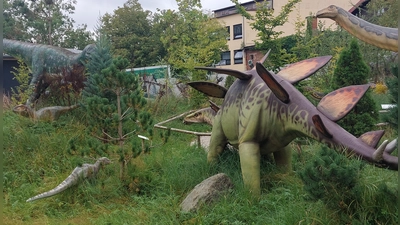 Eindrücke aus dem Urzeitmuseum Taufkirchen (Vils), wo es Exponate zu Dinosauriern und anderen Tieren der Urzeit gibt. Das Museum ist nun erweitert worden. (Foto: bas)