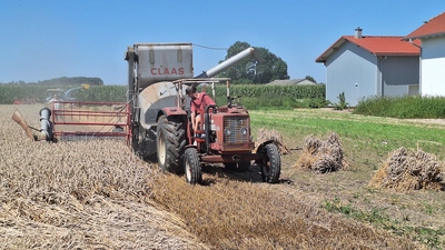 Ein Mähdrescher der Firma Claas aus dem Jahre 1965. (Foto: Nussrainer)