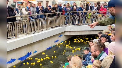 Das Freisinger Entenrennen auf der offenen Moosach, Obere Altstadt Freising (Foto: Active City Freising)