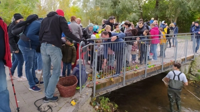 Das Entenrennen erfreut sich großer Beliebtheit. (Foto: Mach)