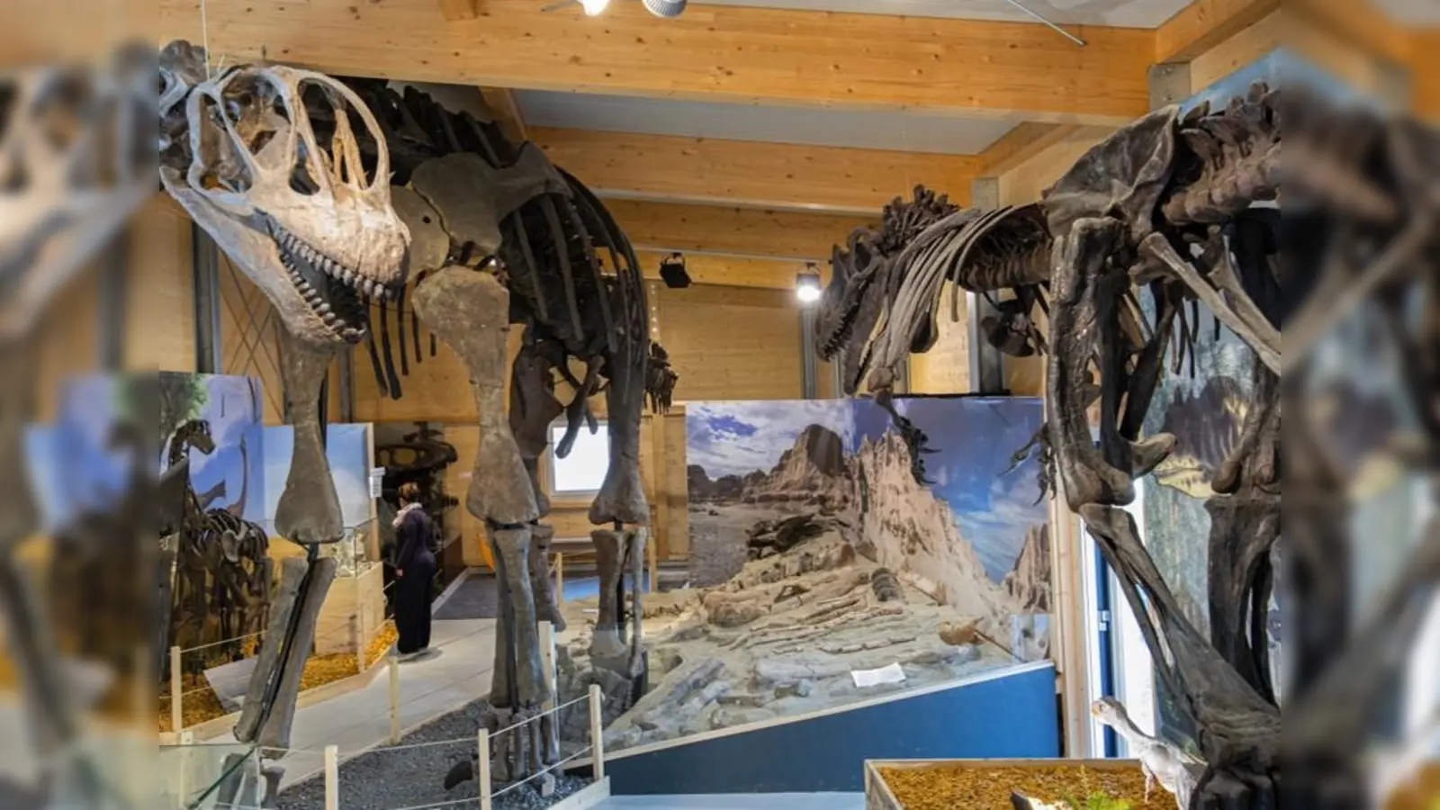 Im Urzeitmuseum finden während den Osterferien regelmäßig Familienführungen statt. (Foto: VA)