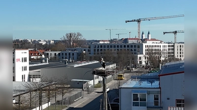 Das Storchenpaar hat sich im neuen Nest gut eingelebt. (Foto: Stadt Freising)